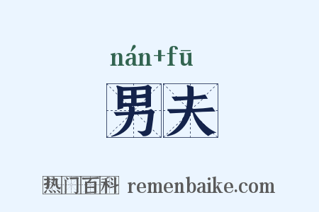 男夫是什么意思的图片